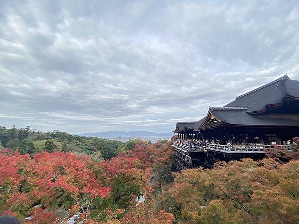 2024.11東京、京都秋季遊(下) 2024.11東京、京都秋季遊(下)