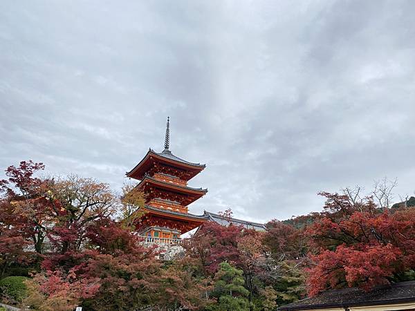 2024.11東京、京都秋季遊(下) 2024.11東京、京都秋季遊(下)