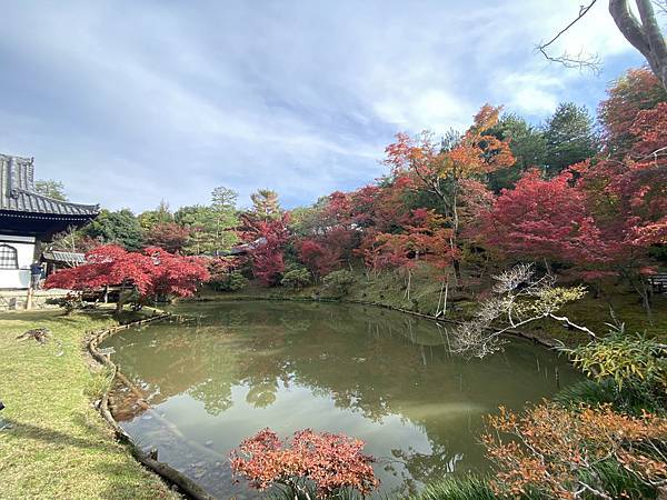 2024.11東京、京都秋季遊(下) 2024.11東京、京都秋季遊(下)