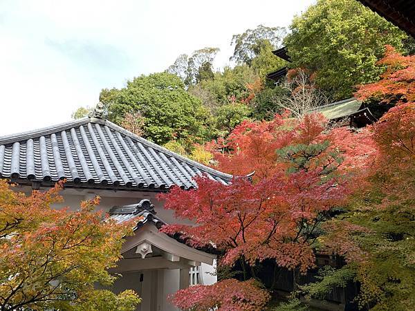 2024.11東京、京都秋季遊(下) 2024.11東京、京都秋季遊(下)