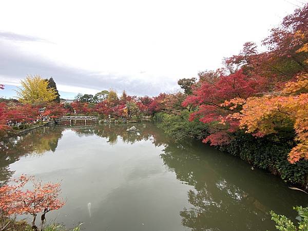 2024.11東京、京都秋季遊(下) 2024.11東京、京都秋季遊(下)