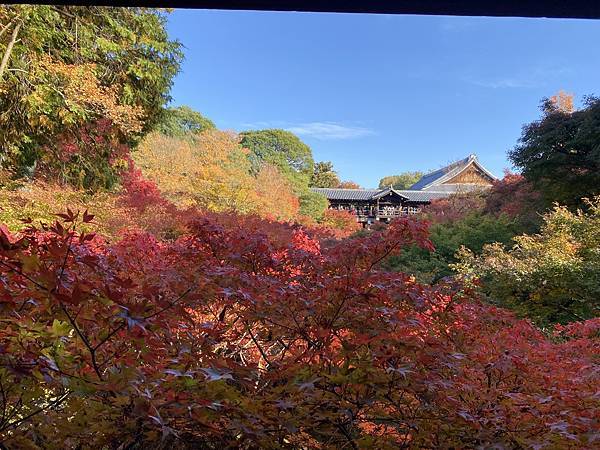 2024.11東京、京都秋季遊(下) 2024.11東京、京都秋季遊(下)