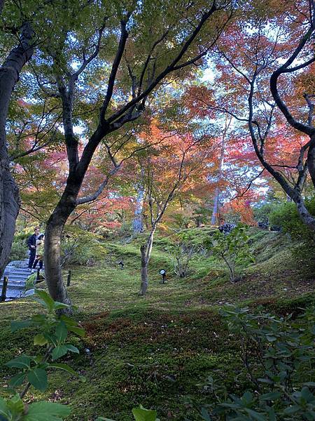 2024.11東京、京都秋季遊(下) 2024.11東京、京都秋季遊(下)
