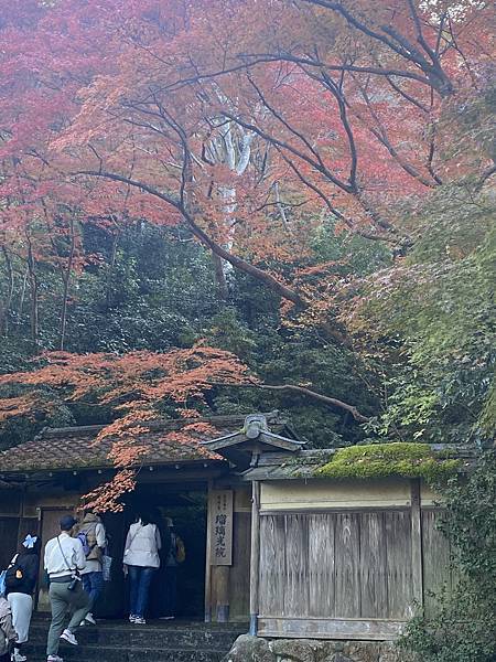 2024.11東京、京都秋季遊(下) 2024.11東京、京都秋季遊(下)