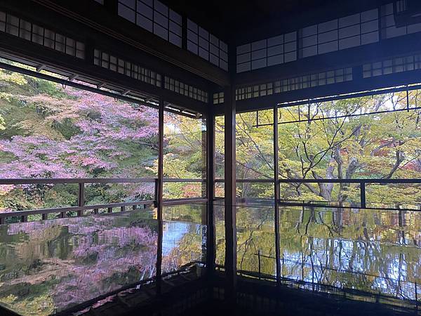 2024.11東京、京都秋季遊(下) 2024.11東京、京都秋季遊(下)