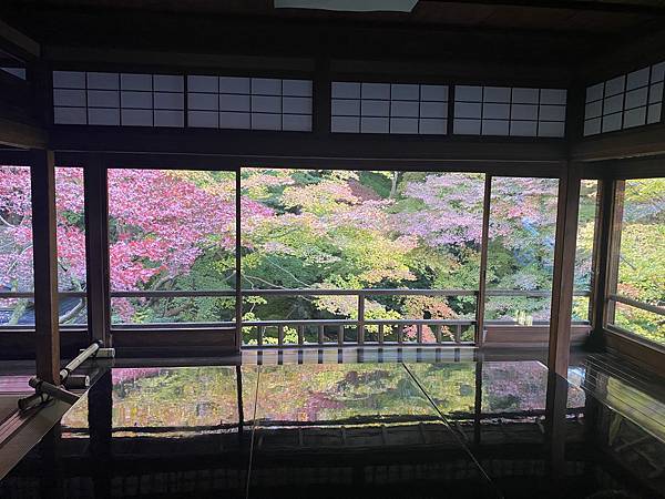 2024.11東京、京都秋季遊(下) 2024.11東京、京都秋季遊(下)