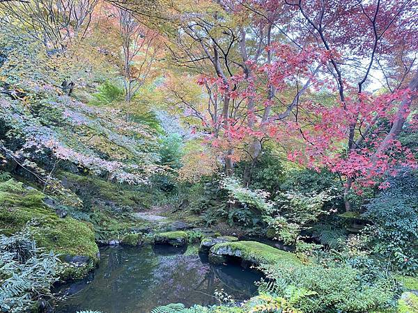 2024.11東京、京都秋季遊(下) 2024.11東京、京都秋季遊(下)