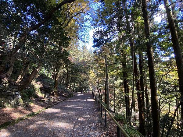 2024.11東京、京都秋季遊(下) 2024.11東京、京都秋季遊(下)