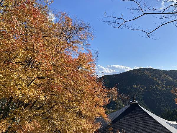 2024.11東京、京都秋季遊(下) 2024.11東京、京都秋季遊(下)