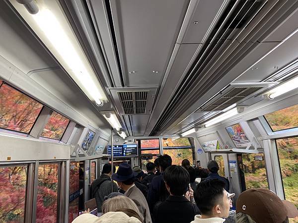 2024.11東京、京都秋季遊(下) 2024.11東京、京都秋季遊(下)