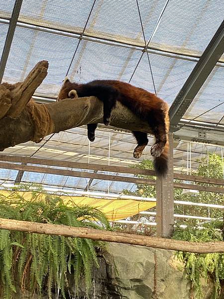2024.11東京、京都秋季遊(下) 2024.11東京、京都秋季遊(下)