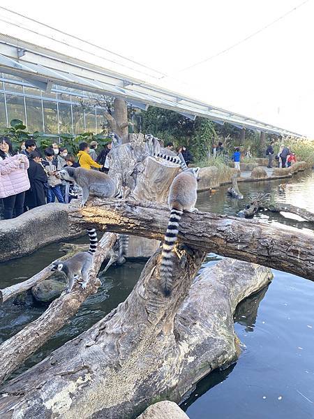 2024.11東京、京都秋季遊(下) 2024.11東京、京都秋季遊(下)