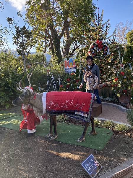 2024.11東京、京都秋季遊(下) 2024.11東京、京都秋季遊(下)