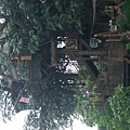 泰山樹屋