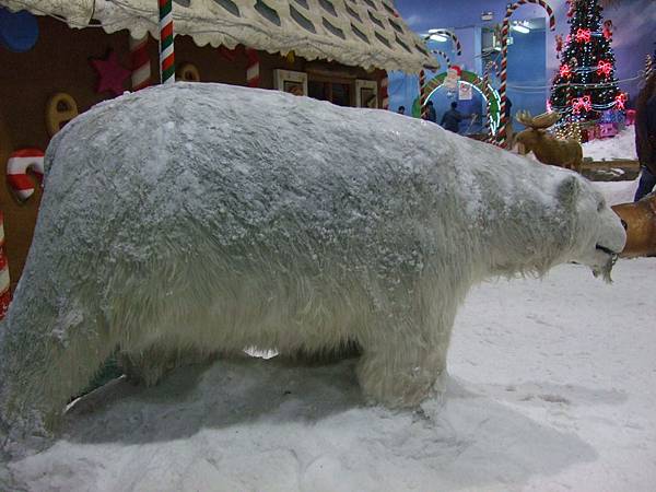 雪屋