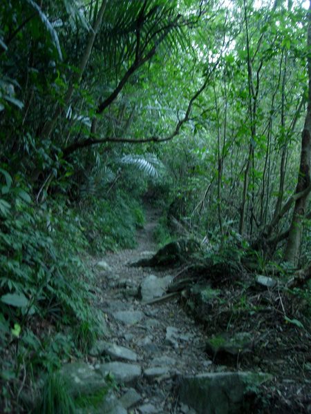 雲森瀑布