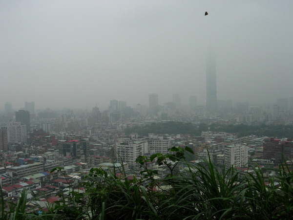 城市景