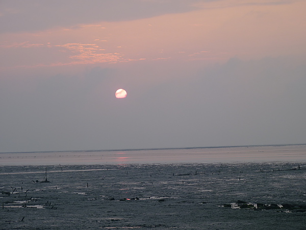海嘯那天的海岸 海嘯那天的海岸