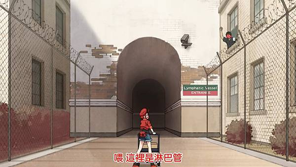 5淋巴管.jpg 5淋巴管.jpg