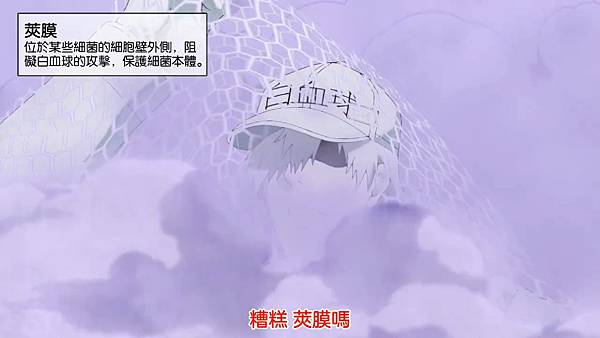 7莢膜.jpg 7莢膜.jpg