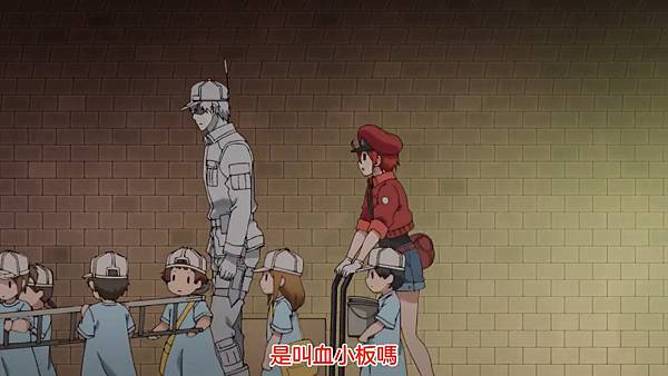 12血小板1.jpg 12血小板1.jpg