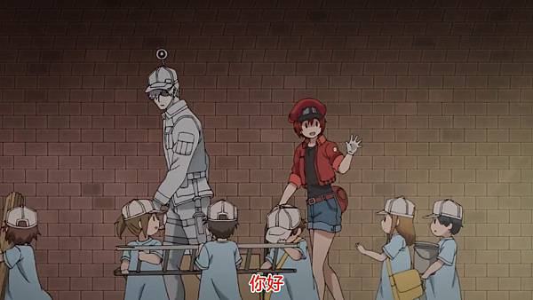 12血小板2.jpg 12血小板2.jpg