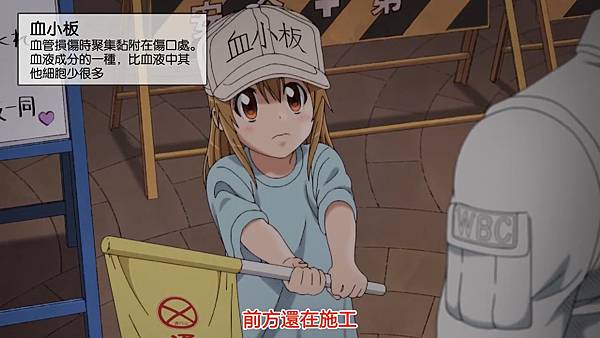 12血小板3.jpg 12血小板3.jpg