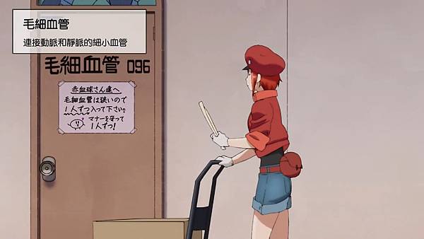 18微血管2.jpg 18微血管2.jpg