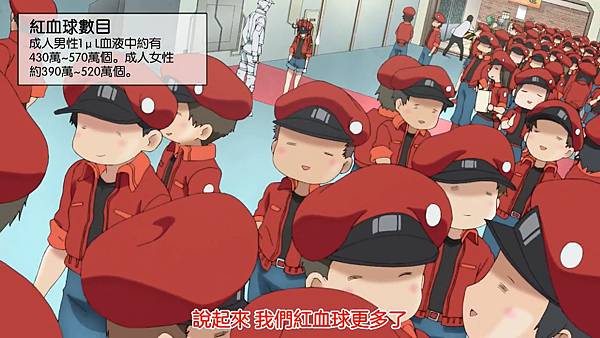 24紅血球數量.jpg 24紅血球數量.jpg