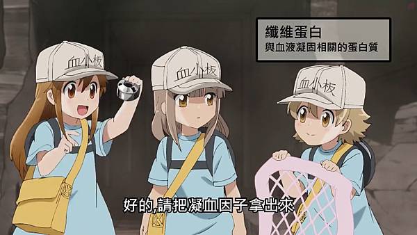 2Fiberin2.jpg 2Fiberin2.jpg