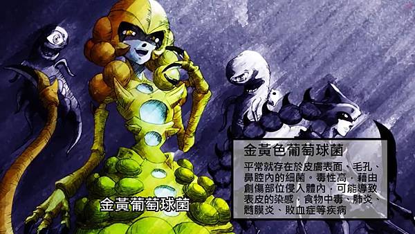 6 S.aureus.jpg 6 S.aureus.jpg