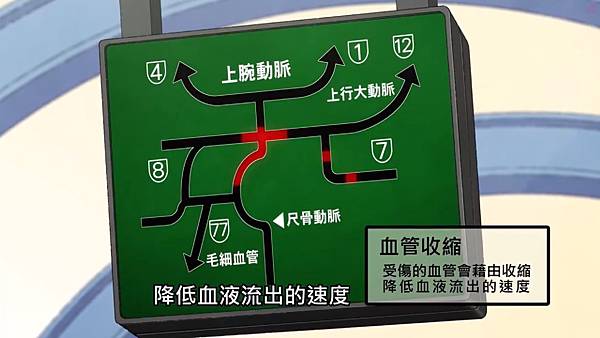 7血管收縮.jpg 7血管收縮.jpg