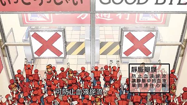 8瓣膜.jpg 8瓣膜.jpg