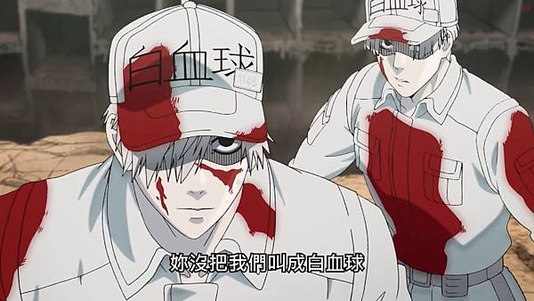 11嗜中性球名字2.jpg 11嗜中性球名字2.jpg