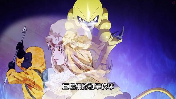 13金黃免疫課2.jpg 13金黃免疫課2.jpg