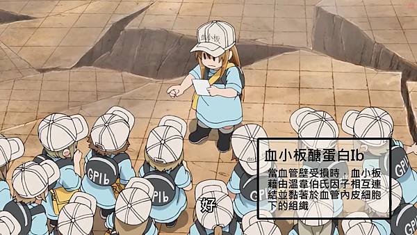 16GpIb2.jpg 16GpIb2.jpg