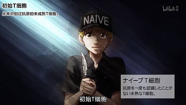 1 Naive3.jpg 1 Naive3.jpg