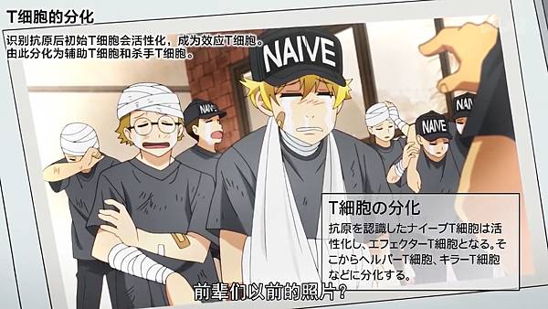 10 分化.jpg 10 分化.jpg