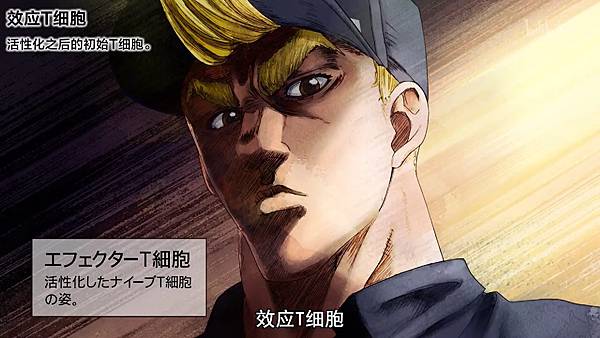 13 T effect 2.jpg 13 T effect 2.jpg