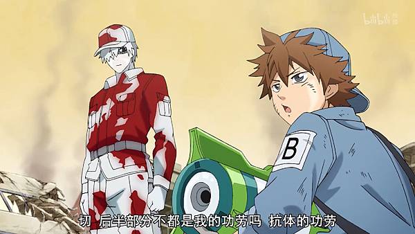 14 B cell 5.jpg 14 B cell 5.jpg