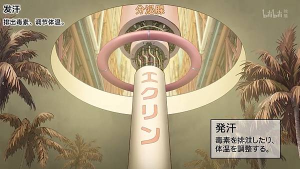 15 其他免疫4.jpg 15 其他免疫4.jpg