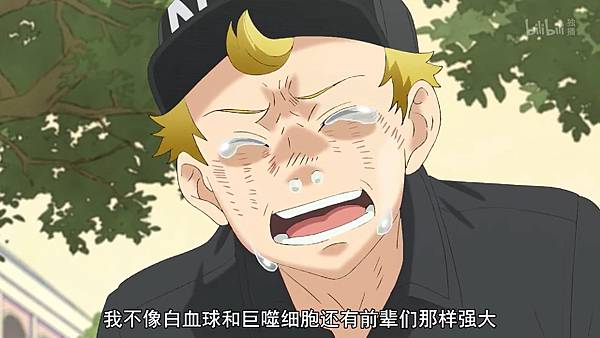 L4 白血球的後設.jpg