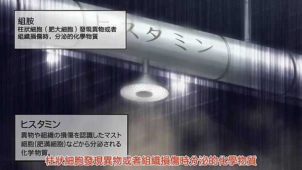 6 組織胺.jpg 6 組織胺.jpg