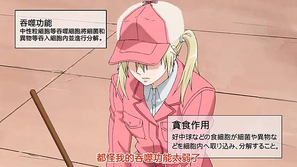 9 Phagocytosis.jpg 9 Phagocytosis.jpg