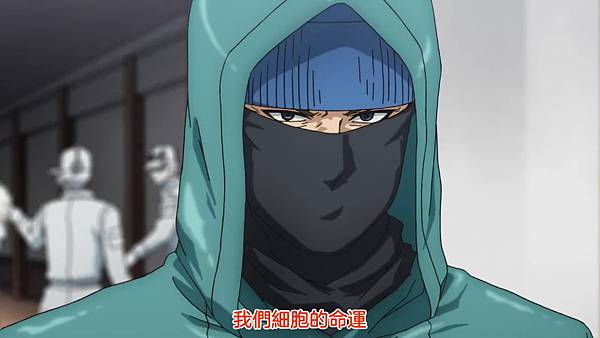 L13 細胞命運R.jpg L13 細胞命運R.jpg