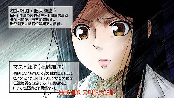 4 肥大細胞.jpg 4 肥大細胞.jpg