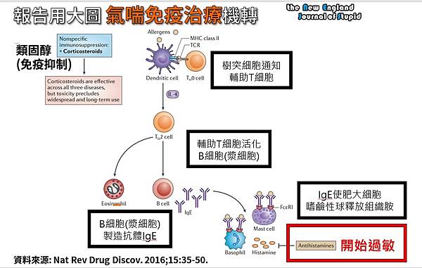 過敏總途徑byNEJSneo.jpg