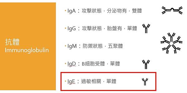 IgE ppt.jpg