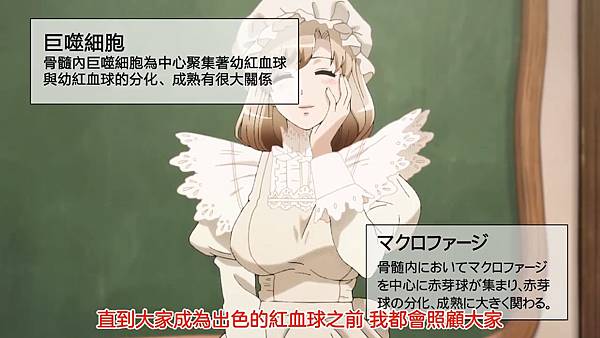 2 紅血球生成3(MP).jpg