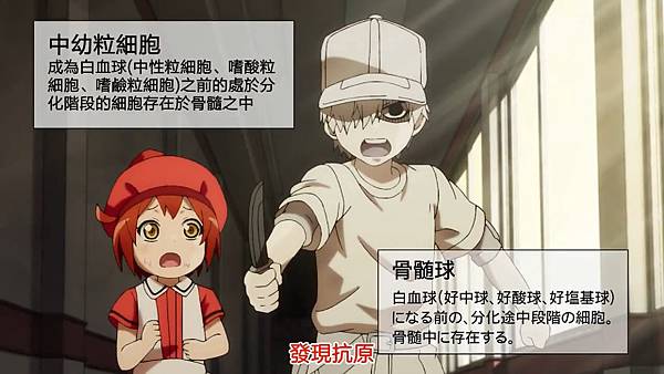 3 晚幼顆粒球.jpg